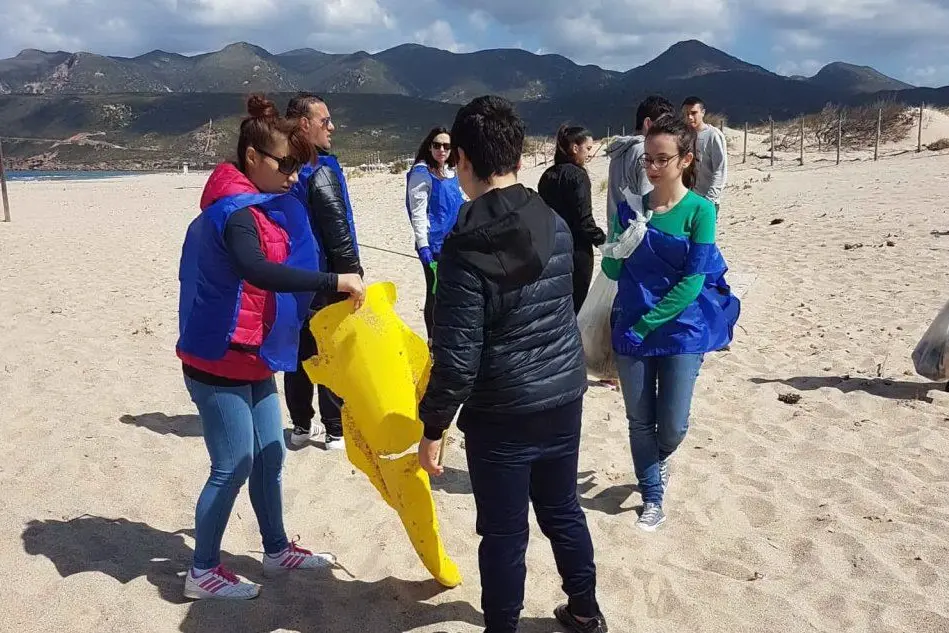 Studenti in campo per pulire la spiaggia a Gonnesa (L'Unione Sarda - Pani)