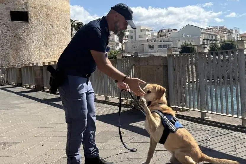 Il cane poliziotto Aaron con il suo conduttore (foto Polizia di Stato)