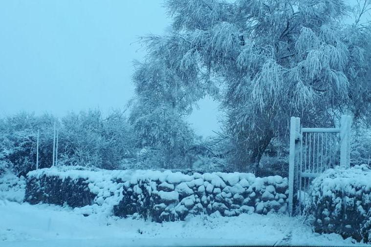 Neve a Fonni (foto ufficio stampa Coldiretti)