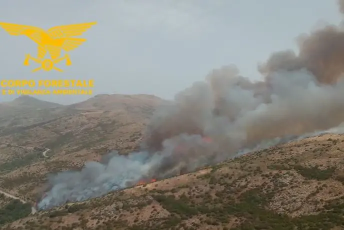Fiamme a Villagrande (foto Corpo forestale)