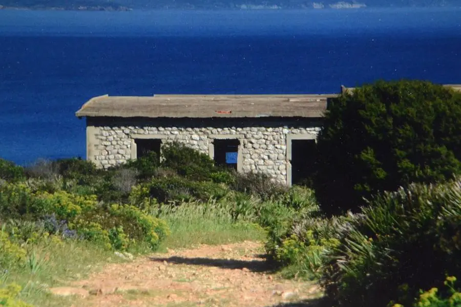 Punta Giglio (archivio L'Unione Sarda - Calvi)