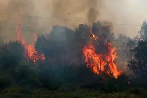 Uno dei roghi della Sardegna (foto: Ansa)