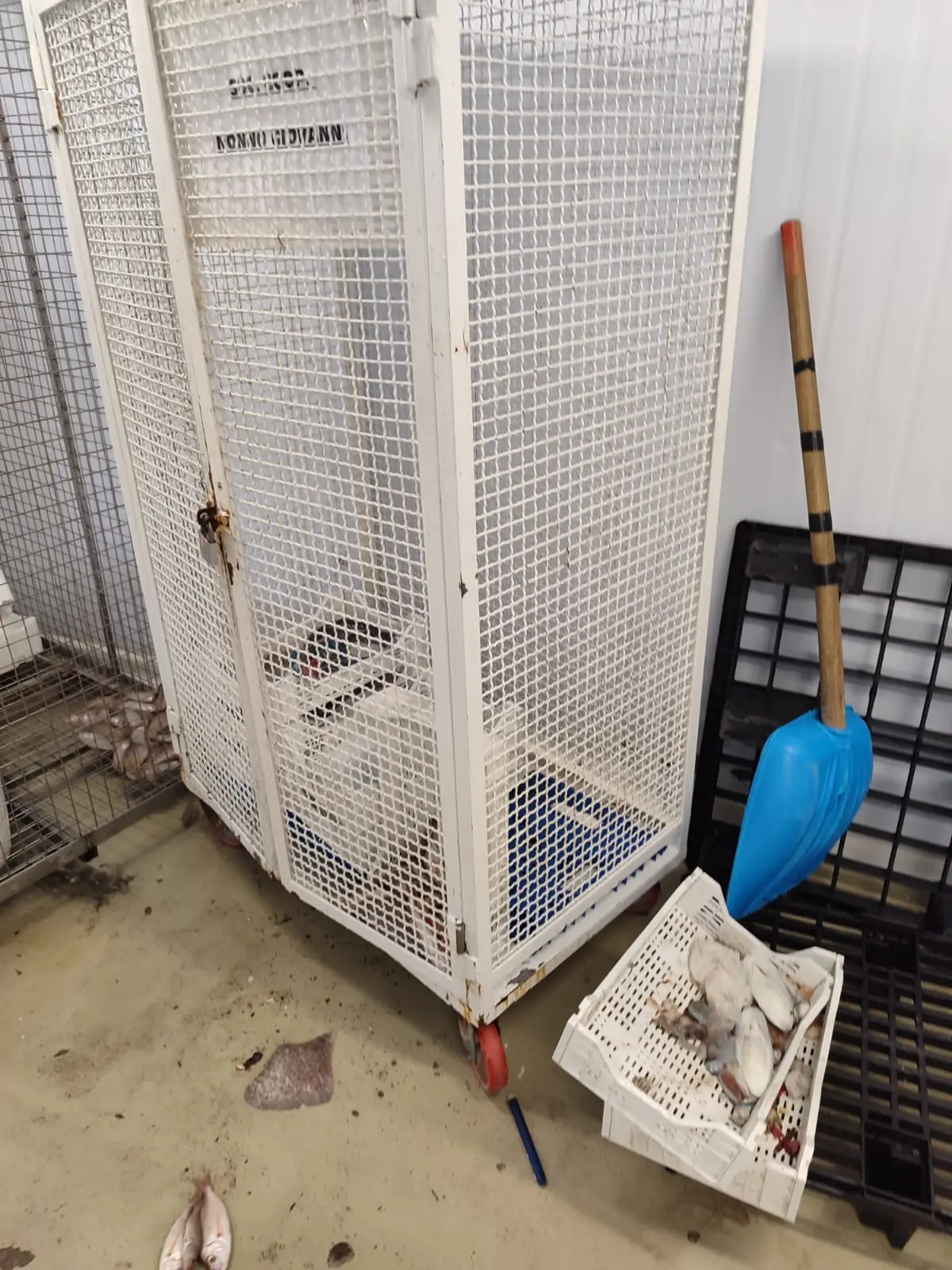 Danni dall'atto vandalico al Mercato del Primo Pescato di Alghero