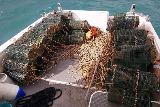 Oristano, pesca abusiva: sequestrate 60 nasse