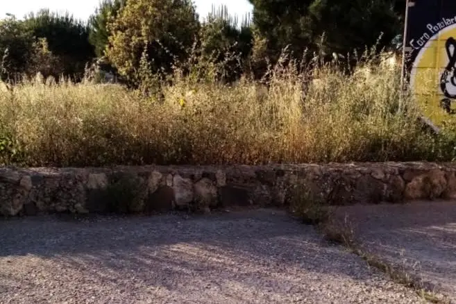 Il giardino (foto concessa)