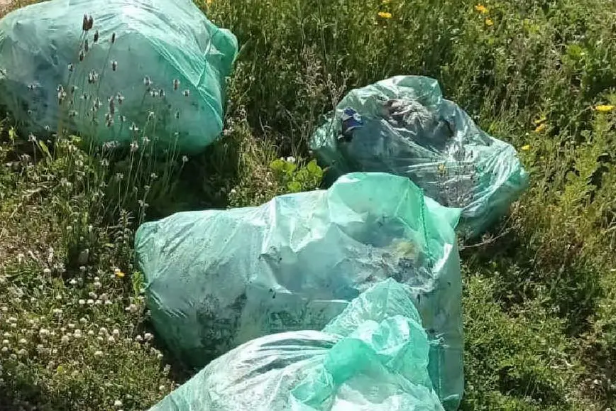 I sacchi di spazzatura (L'Unione Sarda - Pala)