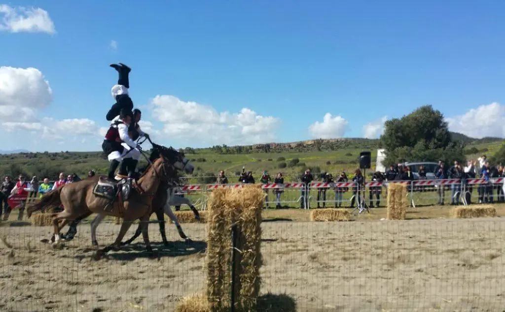 Una pariglia acrobatica