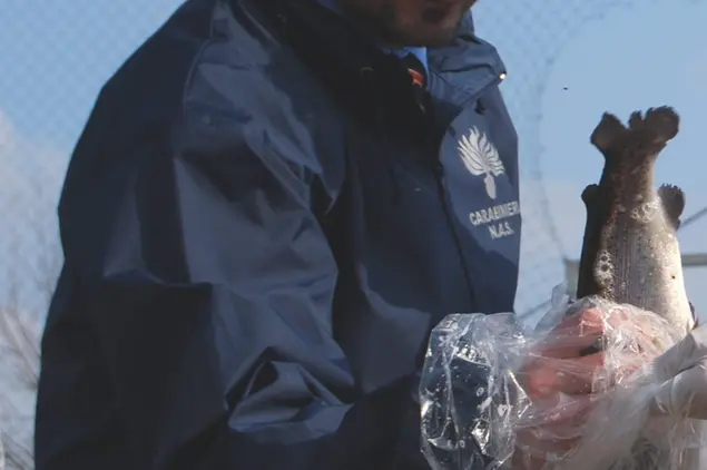(Foto carabinieri)