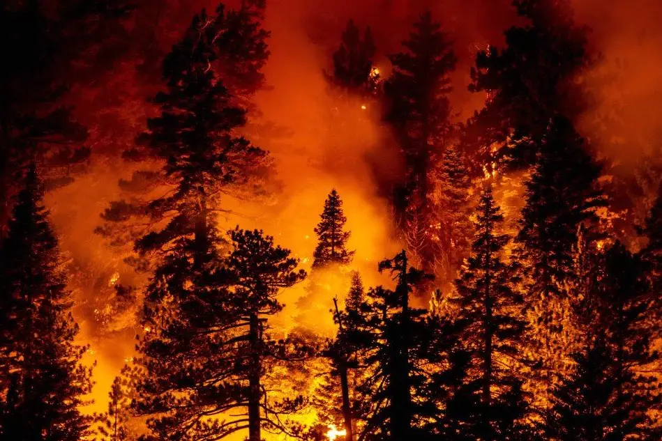 Fuoco nella zona di Los Angeles (Ansa - Laurent)