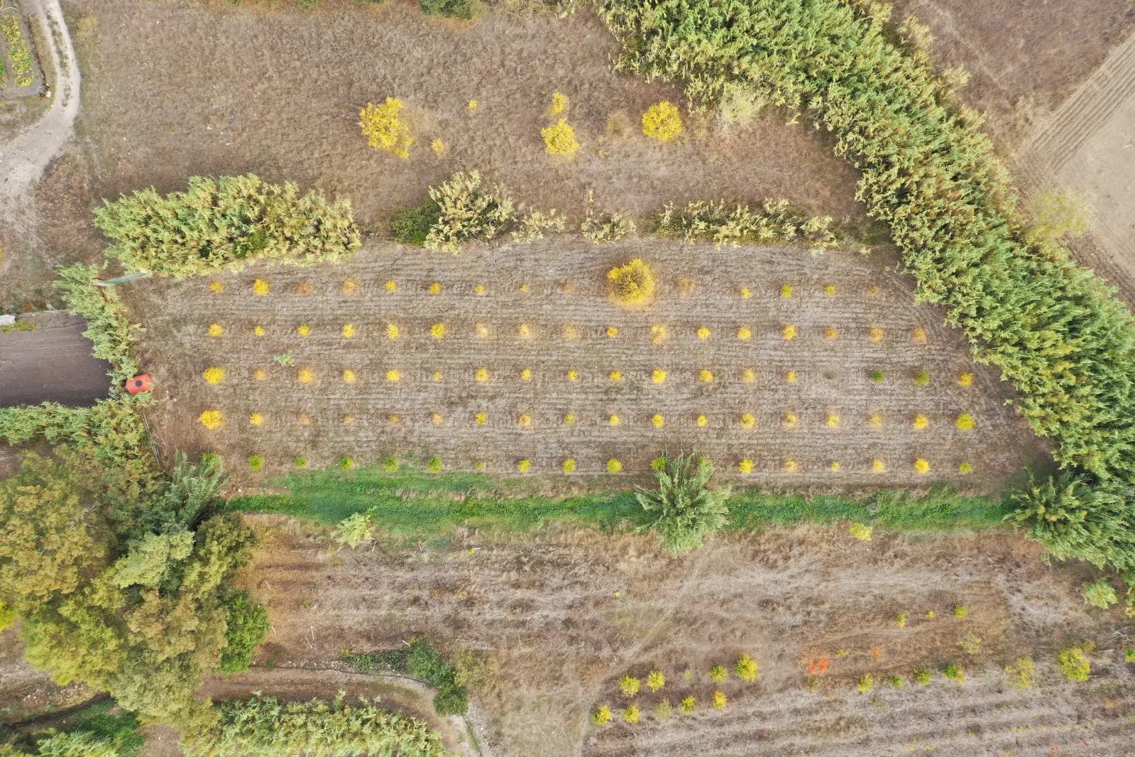 Immagine aerea del "Giardino del Melograno"