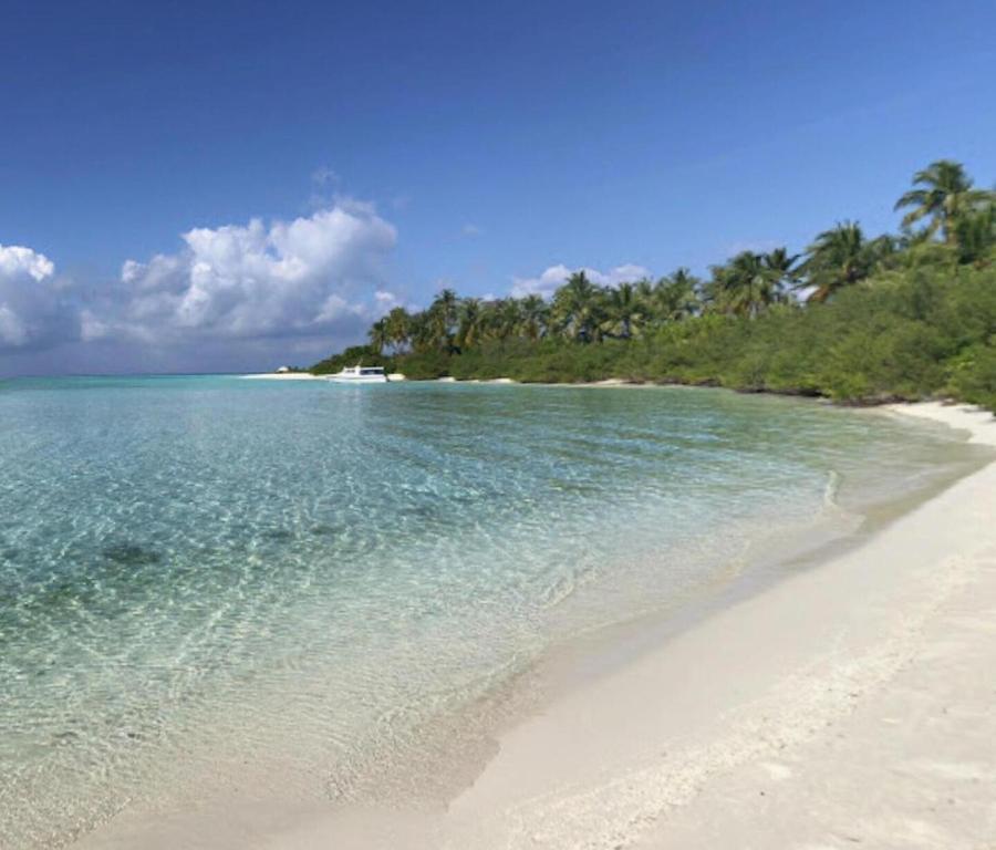 Maldive, immersione tragica per 5 italiani
