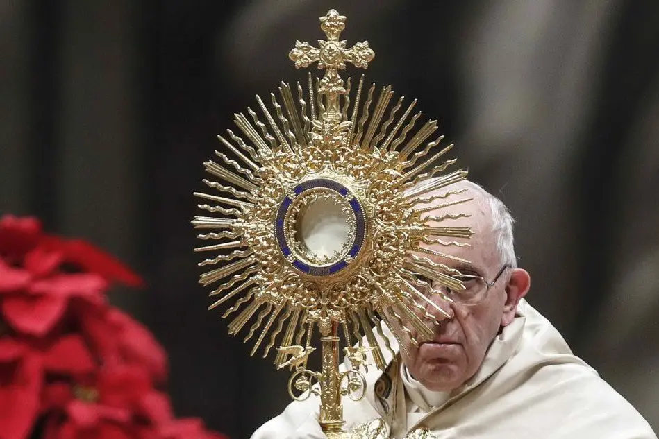 Papa Francesco (Ansa)