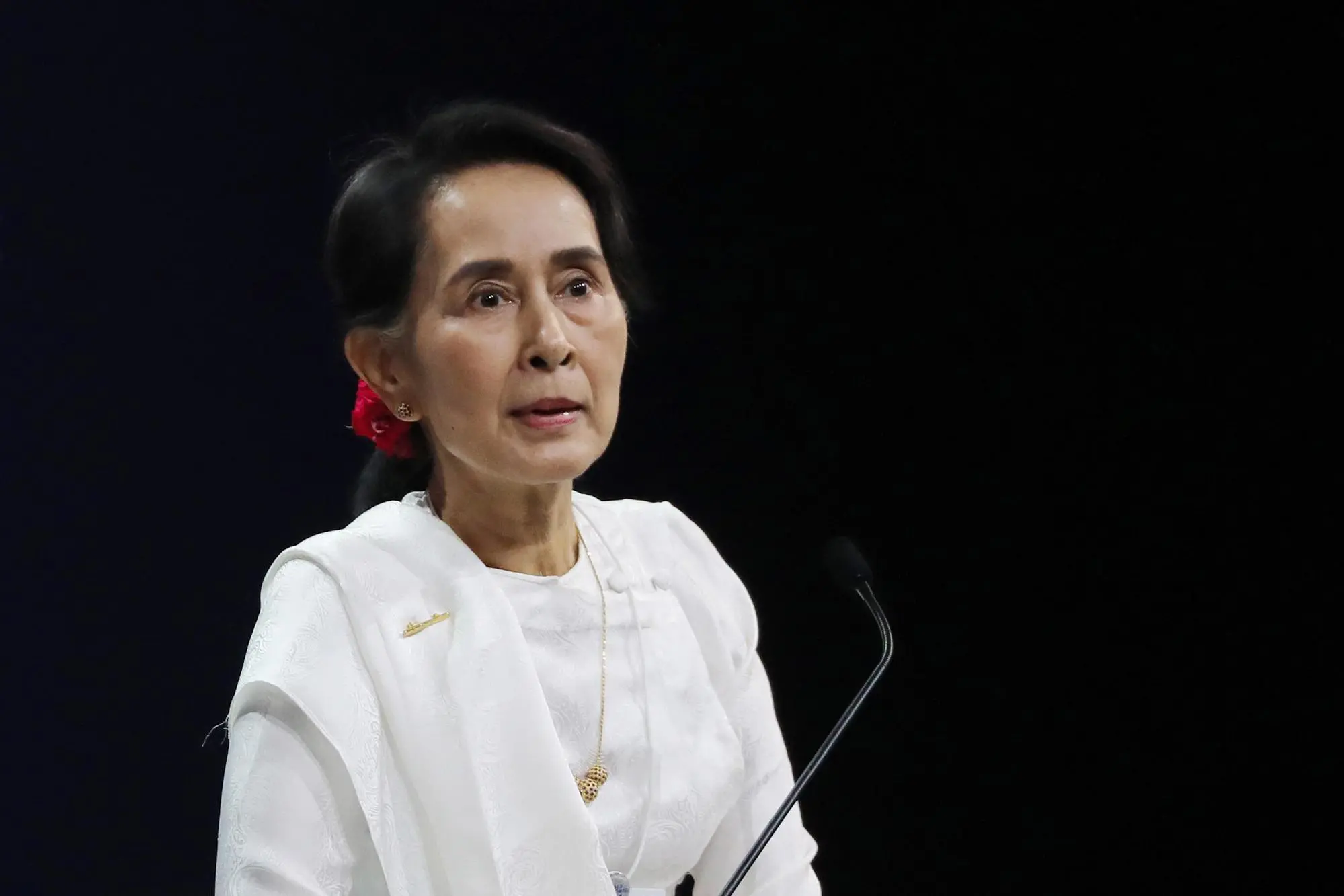 Aung San Suu Kyi (Ansa - Epa)