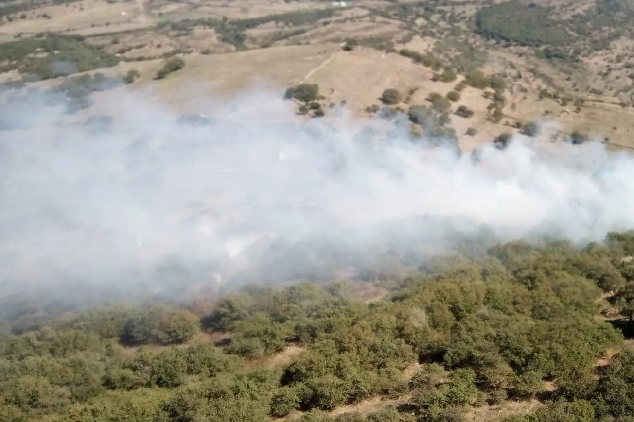 L'incendio di Bortigali, località Crastu Littu