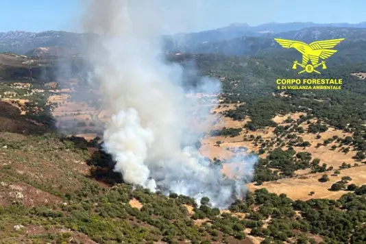 L'incendio ad Alà dei Sardi (foto Corpo forestale)