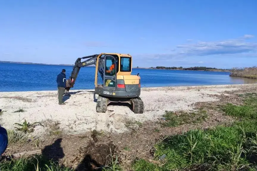 I lavori nella spiaggetta nel lungo stagno alcuni anni fa (foto concessa)