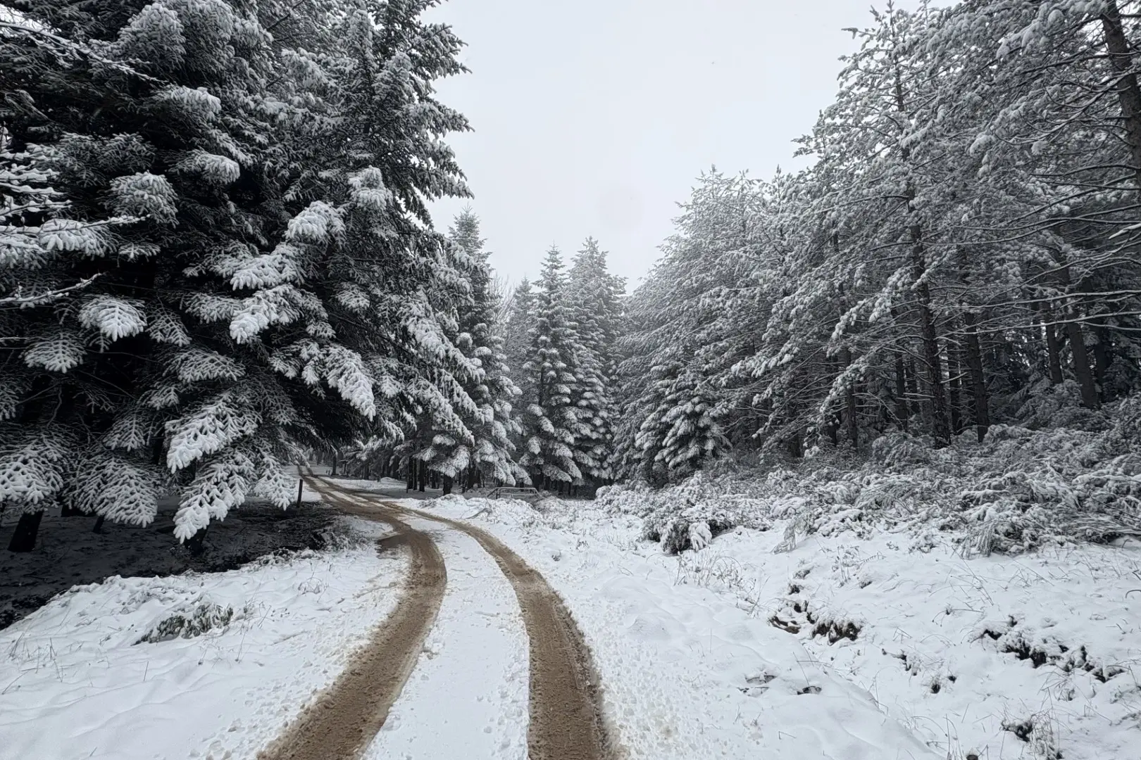 Neve sul Monte Limbara
