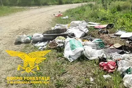 La discarica