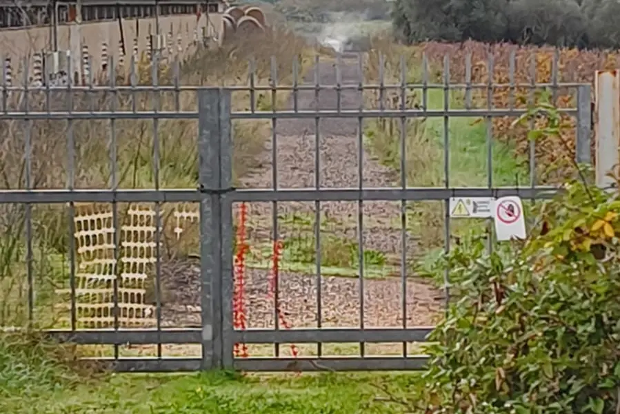 L'allevamento (Foto Floris)