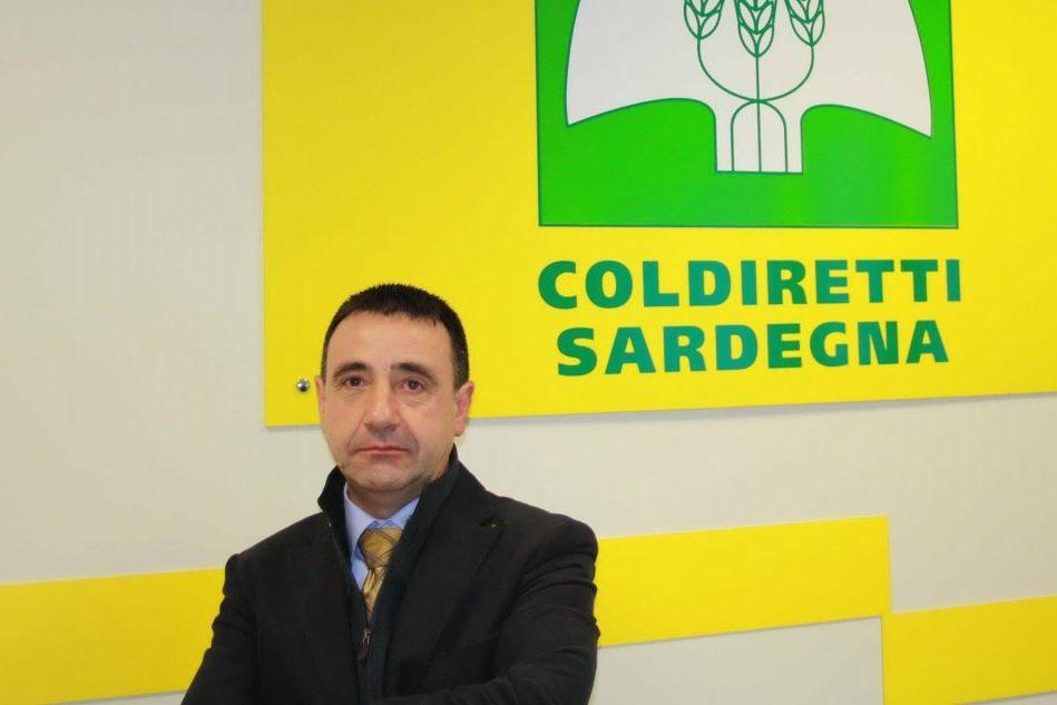 Battista Cualbu, presidente di Coldiretti Sardegna (Archivio L'Unione Sarda)