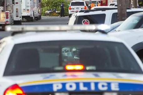 Polizia negli Usa (Ansa)
