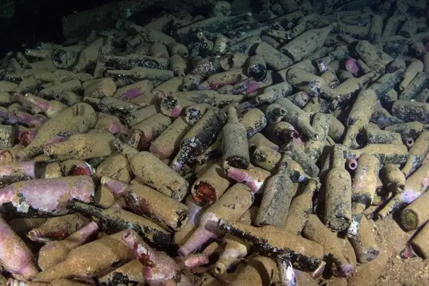 Il ritrovamento (foto Bbc)