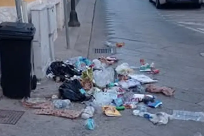 Spazzatura per strada a Santa Teresa Gallura (foto sindaca Nadia Matta)