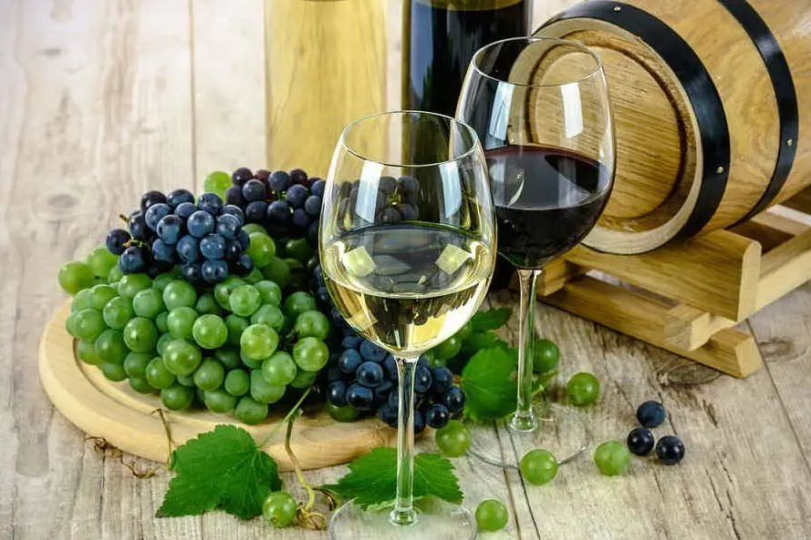 Vino sempre più alcolico in Italia per colpa del clima