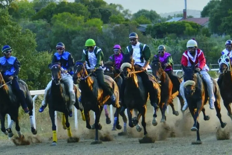 Palio Barigadu