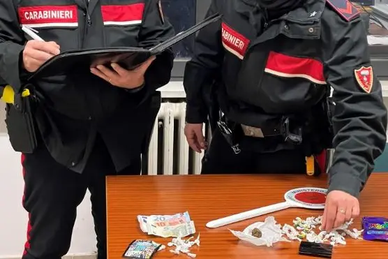 Il materiale sequestrato dai carabinieri (foto carabinieri)