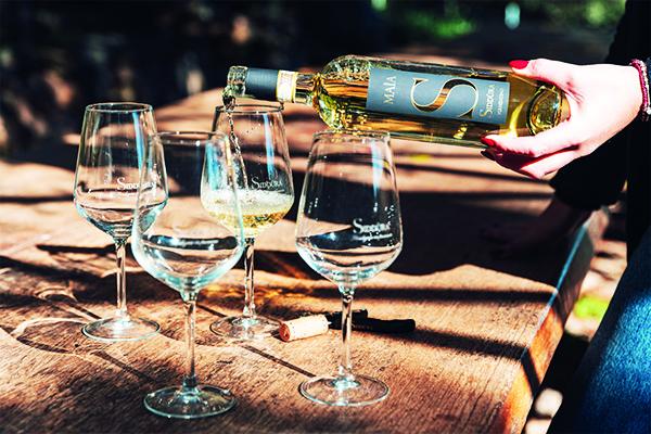 Siddùra tra le eccellenze selezionate da Wine Spectator a Vinitaly 2026