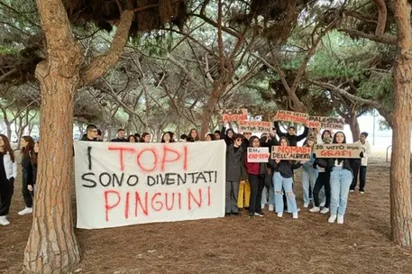 La protesta (foto Ansa)