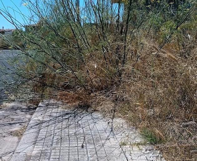 Attacco dell’opposizione: terreni comunali nel degrado