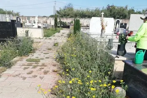 Il cimitero (foto concessa)