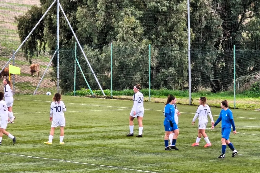 Un momento della gara (foto ufficio stampa)