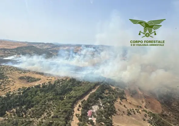 L'incendio a Nurru ripreso dal Super Puma proveniente da Fenosu (foto Cfva)