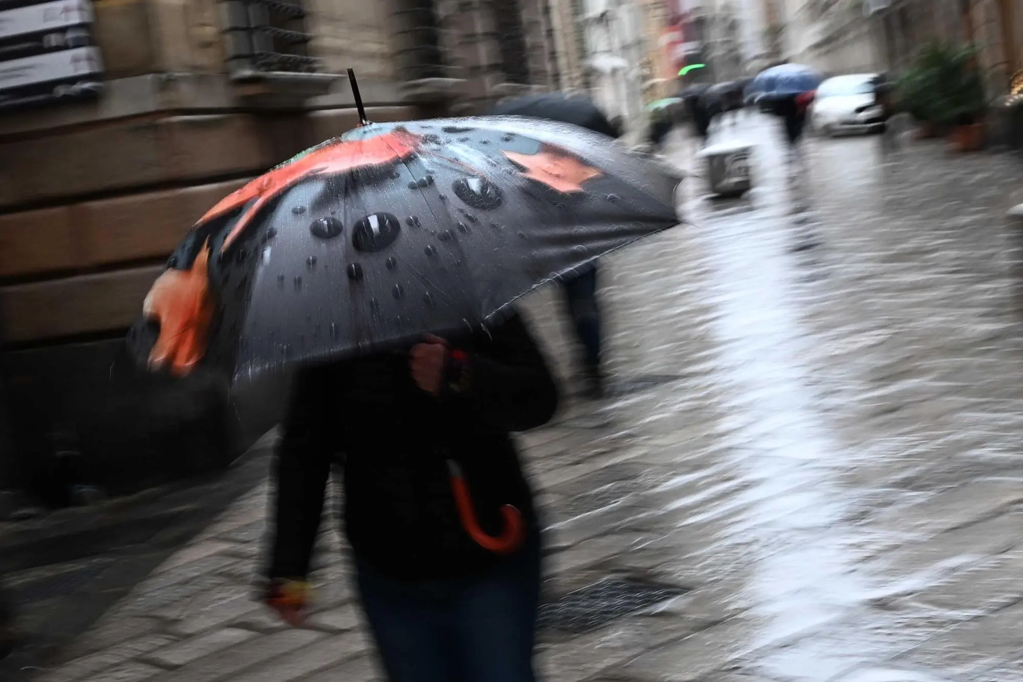 Pioggia e maltempo, immagine simbolo (ANSA/LUCA ZENNARO)