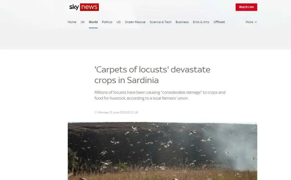 \"Tappeti di cavallette devastano i campi in Sardegna\", scrive Sky News