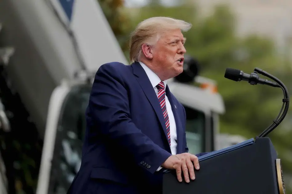 Donald Trump (Ansa - Drago)