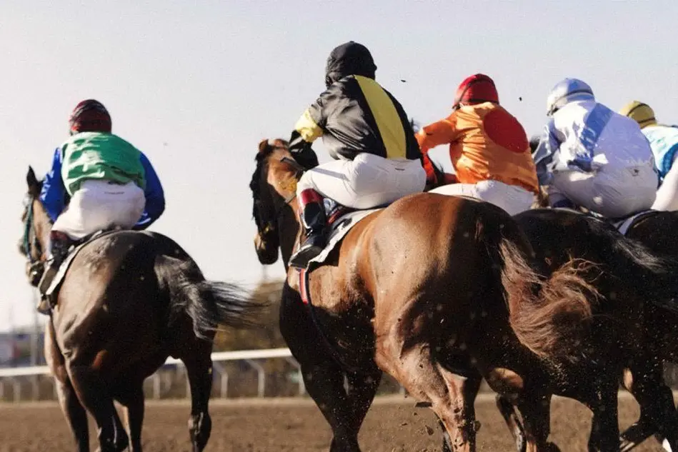 Il palio del Barigadu