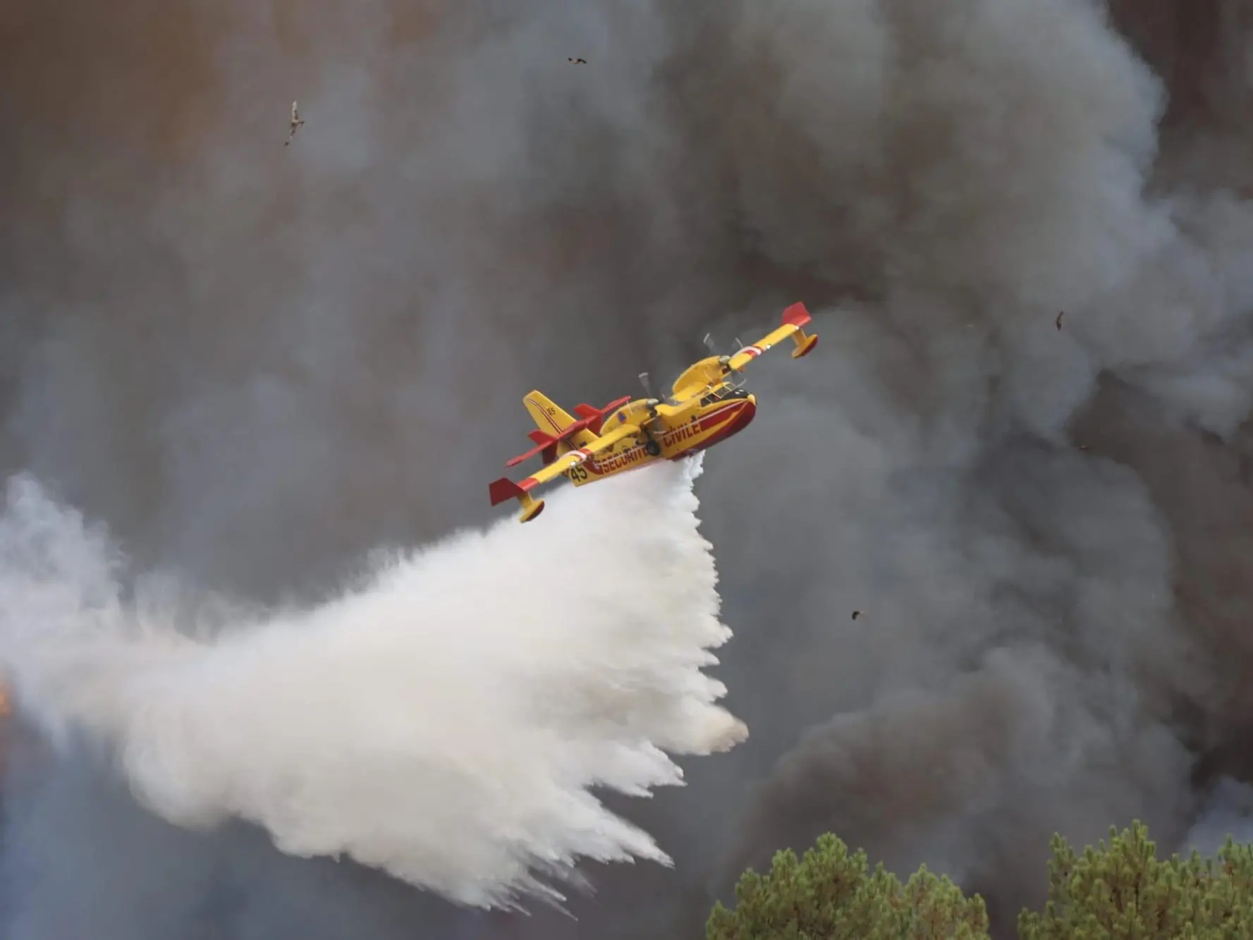 epa13137555 A handout photo made available by the Fire and Rescue Departmental Service 33 (SDIS 33), the official fire and rescue department for the area of Gironde, shows a Canadair aircraft dropping water on a fire burning at Camp de Souge Martignas-sur-Jalle, near Bordeaux, southwestern France, 28 July 2026. France is bracing for the next major heatwave of the year as firefighters continue to battle major forest fires near Bordeaux. EPA/SDIS33/MATTHIEU PENZ HANDOUT -- MANDATORY CREDIT -- BEST QUALITY AVAILABLE --HANDOUT EDITORIAL USE ONLY/NO SALES