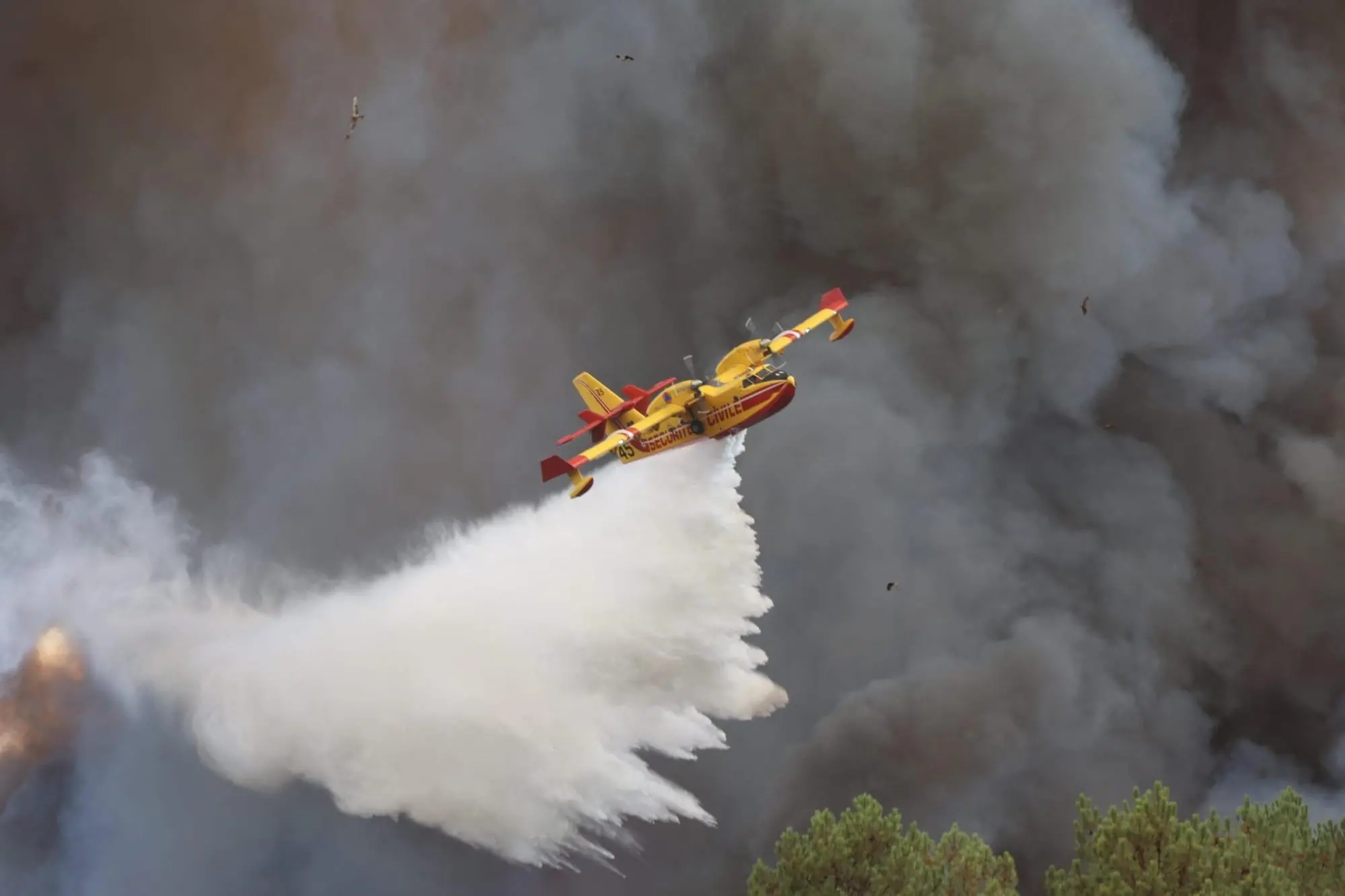 epa13137555 A handout photo made available by the Fire and Rescue Departmental Service 33 (SDIS 33), the official fire and rescue department for the area of Gironde, shows a Canadair aircraft dropping water on a fire burning at Camp de Souge Martignas-sur-Jalle, near Bordeaux, southwestern France, 28 July 2026. France is bracing for the next major heatwave of the year as firefighters continue to battle major forest fires near Bordeaux. EPA/SDIS33/MATTHIEU PENZ HANDOUT -- MANDATORY CREDIT -- BEST QUALITY AVAILABLE --HANDOUT EDITORIAL USE ONLY/NO SALES