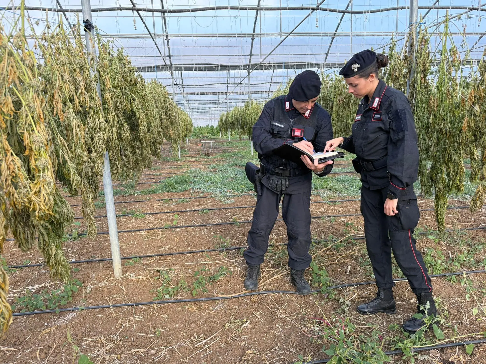 contentid/7f1b9476-fee1-45c2-b6ae-9f329c6c671d