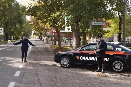 Immagine simbolo (Ansa)