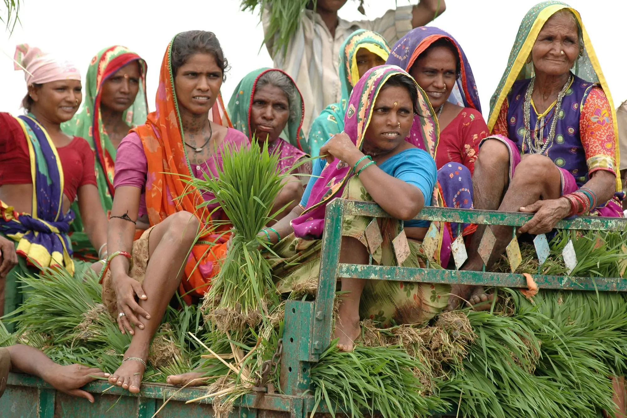 Donne indiane (foto AP Photo/Ajit Solanki)