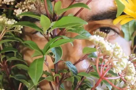 Fuori il 27 marzo "Cielo e sfacelo", il nuovo album de L'Albero