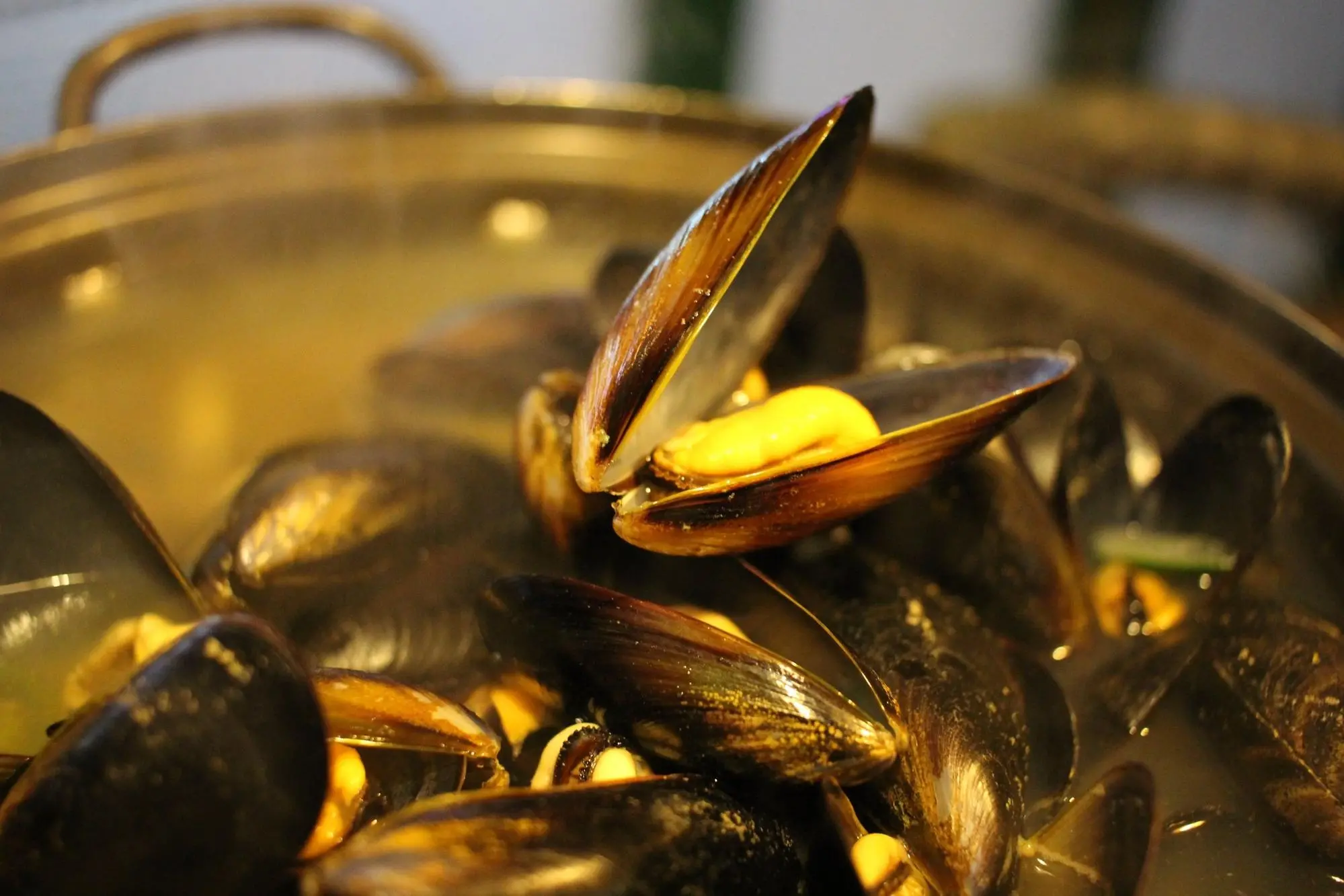 Cozze (foto www.pixabay.com)