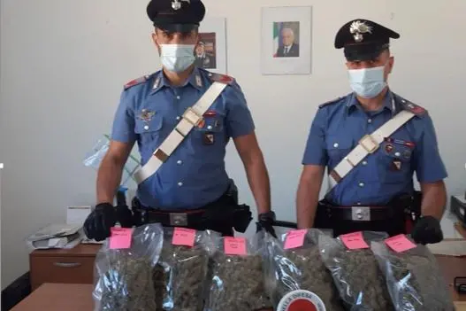 La droga sequestrata (Foto Carabinieri Sassari)