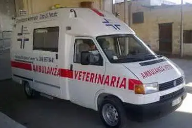 Un'ambulanza veterinaria