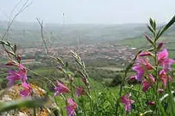 Immagine panoramica di Villaurbana